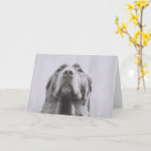 Penny Kaart (Gele Bloem)