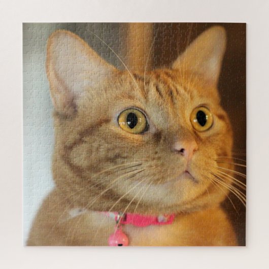  Penny Legpuzzel (Verticaal)