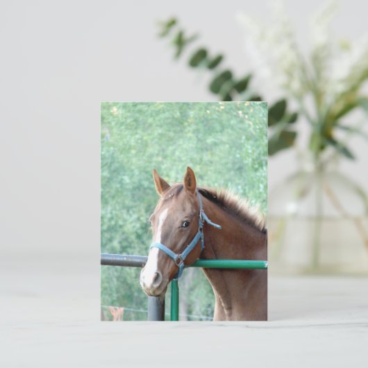 Penny Ole Gal Briefkaart (Staand voorkant)