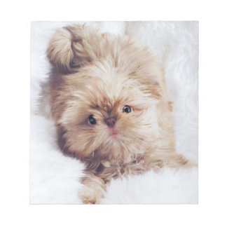 Penny oranje lever Shih Tzu puppy note paper Notitieblok