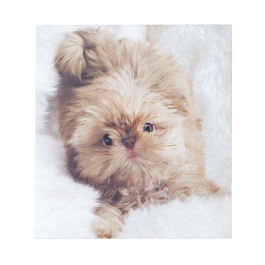 Penny oranje lever Shih Tzu puppy note paper Notitieblok (Voorkant)
