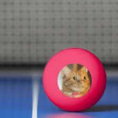 Penny Pingpongbal (Net)