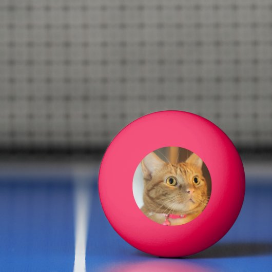  Penny Pingpongbal (Net)