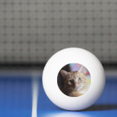 Penny Pingpongbal (Net)
