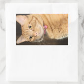  Penny Rechthoekige Sticker (Tas)