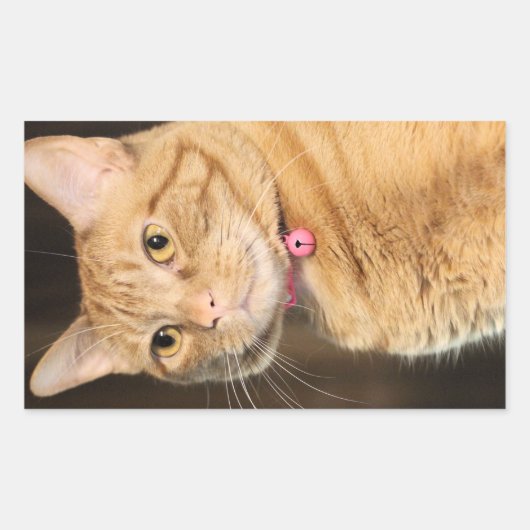 Penny Rechthoekige Sticker (Voorkant)