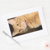  Penny Rechthoekige Sticker (Envelop)