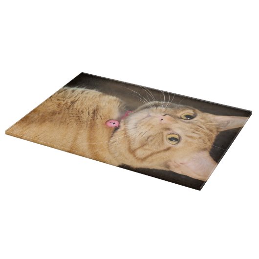  Penny Snijplank (Hoek)