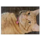  Penny Snijplank (Voorkant)