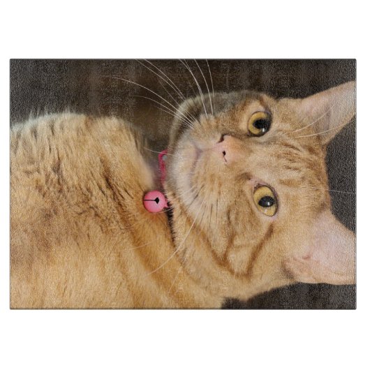  Penny Snijplank (Voorkant)