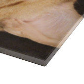  Penny Snijplank (Hoek)