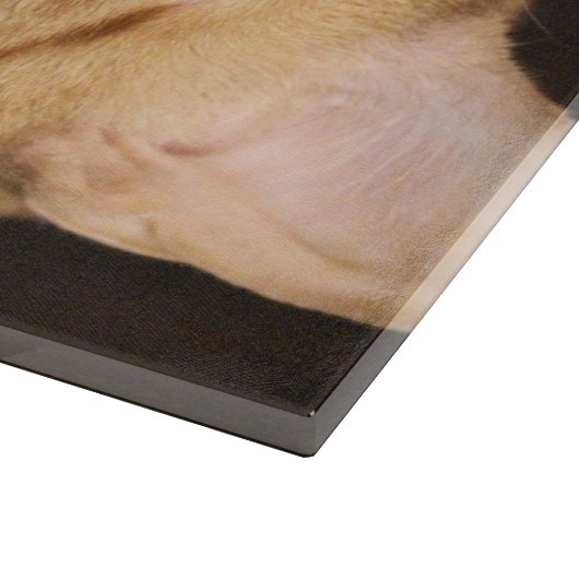  Penny Snijplank (Hoek)