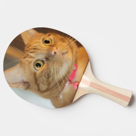 Penny Tafeltennisbatje (Zijkant)