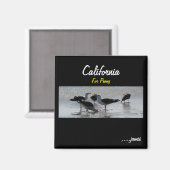 Penny's Magnet (Voorkant / Achterkant)