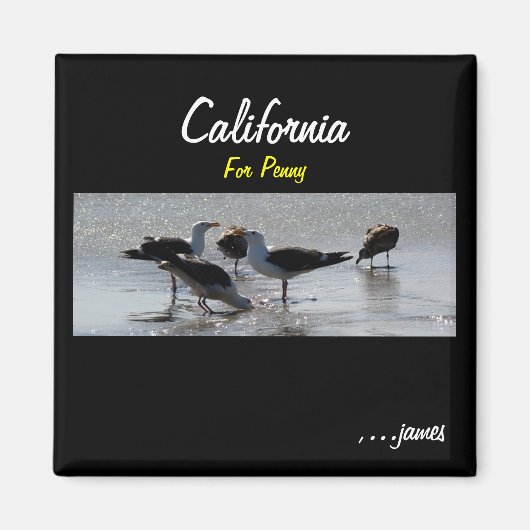 Penny's Magnet (Voorkant)