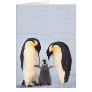 Penquin-familie