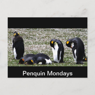 Penquin Mondays Briefkaart