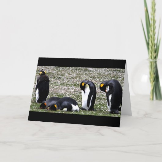 Penquin Mondays Notecard Kaart (Voorkant)