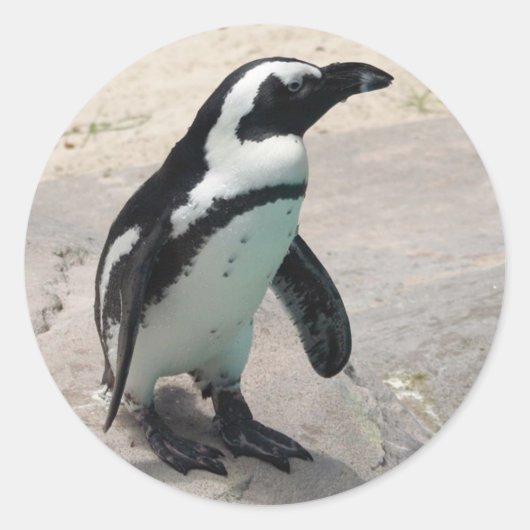 Penquin Sticker (Voorkant)