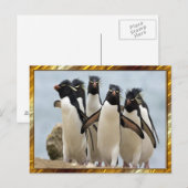 Penquin Walking Briefkaart (Voorkant / Achterkant)