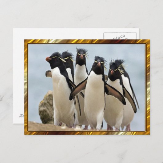 Penquin Walking Briefkaart (Voorkant / Achterkant)