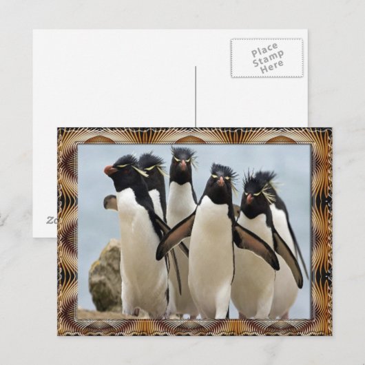 Penquin Walking Briefkaart (Voorkant / Achterkant)