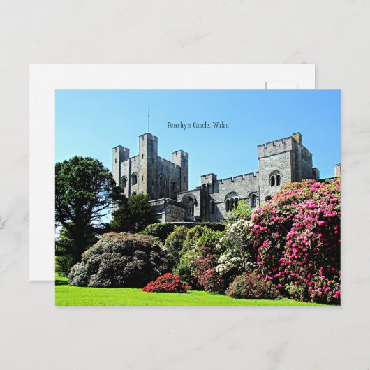 Penrhyn Castle, Wales Briefkaart (Voorkant / Achterkant)
