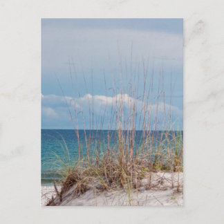 Pensacola Beach Briefkaart