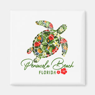 Pensacola Beach Florida Zeeschildpad Tropische Hib Magneet