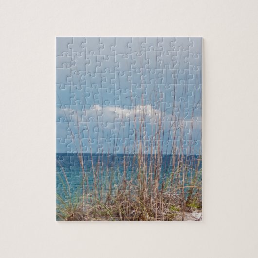Pensacola Beach Legpuzzel (Verticaal)