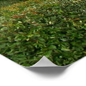 Pensacola Beach-teken Poster (Hoek)