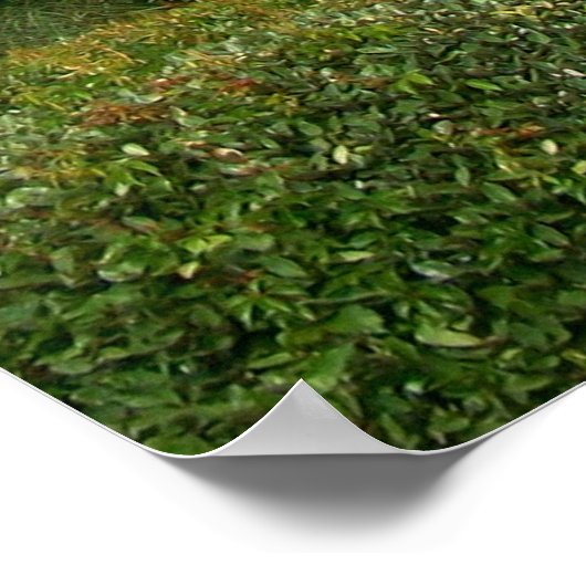 Pensacola Beach-teken Poster (Hoek)