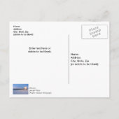 Pensacola Ochtend Reddingstorens & Steiger Bedankt Briefkaart (Achterkant)