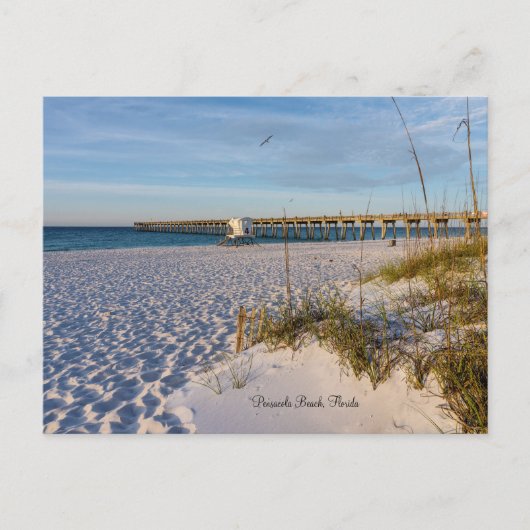 Pensacola Sand Dunes Pier Morning Briefkaart (Voorkant)