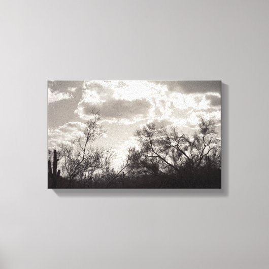 Penseel achtergrondverlichting Sonoran-woestijn B& Canvas Afdruk (Voorkant)