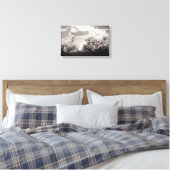 Penseel achtergrondverlichting Sonoran-woestijn B& Canvas Afdruk (Insitu (Slaapkamer))