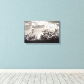 Penseel achtergrondverlichting Sonoran-woestijn B& Canvas Afdruk (Insitu (Houten vloer))