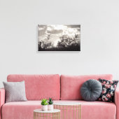 Penseel achtergrondverlichting Sonoran-woestijn B& Canvas Afdruk (Insitu (Woonkamer))