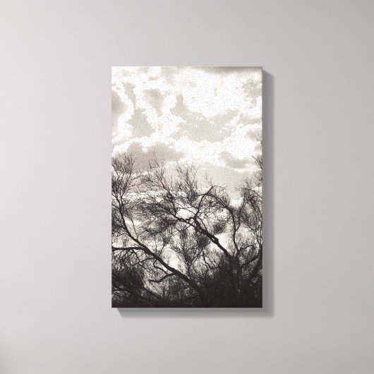 Penseel achtergrondverlichting Sonoran-woestijn B& Canvas Afdruk (Voorkant)