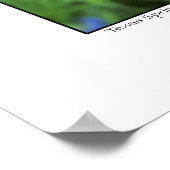 Penseel en blauwbonnetjes - Texas Poster (Hoek)