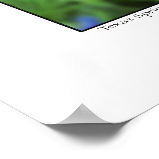 Penseel en blauwbonnetjes - Texas Poster (Hoek)