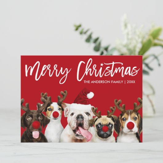Penseel Script Star Merry Kerstdogs Red Feestdagenkaart (Staand voorkant)