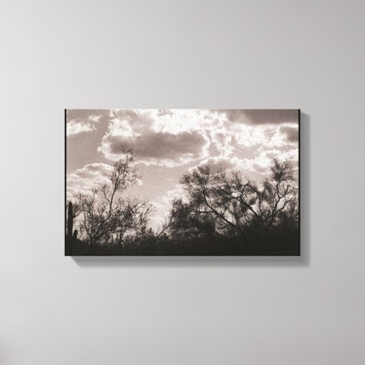 Penseelachtergrondcanvas (AZ Sonoran-woestijn) Canvas Afdruk (Voorkant)