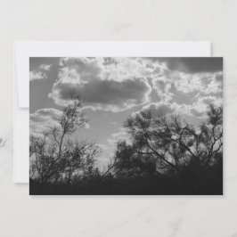 Penseelachtergrondverlichting (AZ Sonoran-woestijn Kaart