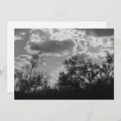 Penseelachtergrondverlichting (AZ Sonoran-woestijn Kaart (Voorkant / Achterkant)