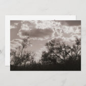 Penseelachtergrondverlichting (AZ woestijn) Sepia- Kaart (Voorkant / Achterkant)