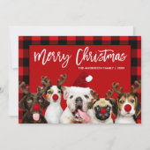 Penseelscript Merry-kerstdogs Red Pset Feestdagenkaart (Voorkant)