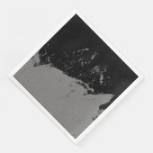 Penseelstreek 2 servet (Hoek)