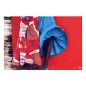 Penseelstreken op een Senegalese wind Foto Afdruk (Voorkant)