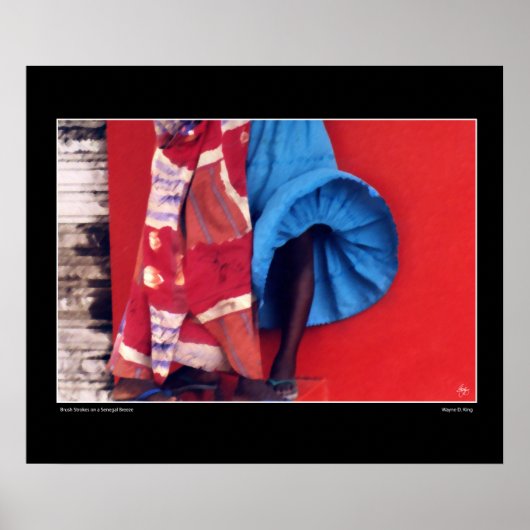 Penseelstreken op een Senegalese wind Poster (Voorkant)